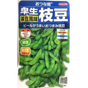 【エダマメ】おつな姫【サカタのタネ】（25ml）【早生】野菜種[春まき]927381