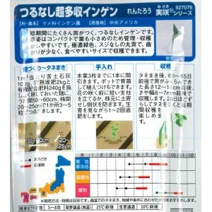 【つるなし超多収インゲン】れんたろう【サカタの...の詳細画像1