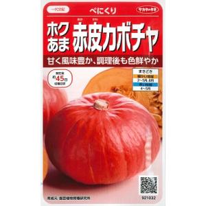 【ホクあま赤皮カボチャ】べにくり【サカタのタネ】（6粒）野菜種[春まき]921032
