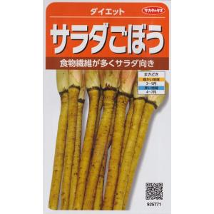 【サラダごぼう】ダイエット 【サカタのタネ】（10ml）野菜種/ゴボウ[春まき][秋まき]92577...