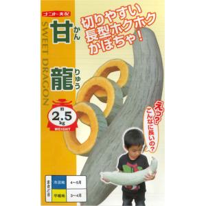【カボチャ】甘龍（かんりゅう）【ナント交配】（5粒）野菜種/ナント種苗[春まき]