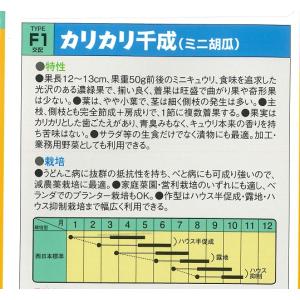 【ミニキュウリ】カリカリ千成 【中原採種場 F...の詳細画像1