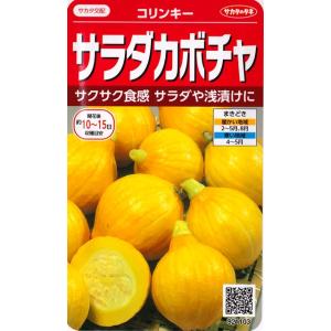 コリンキー （6.5ml）野菜種/サカタのタネ[春まき]921103