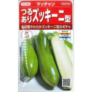 【マッチャン】つるありズッキーニ型カボチャ 【サカタ交配】（8粒）野菜種/サカタのタネ [春まき]921005｜Hana Uta 米沢園芸 Yahoo!店