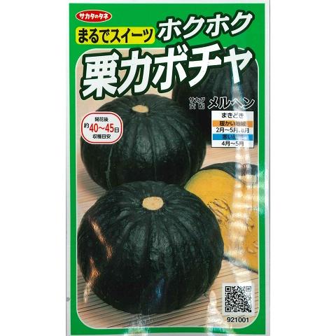 【カボチャ】メルヘン 【サカタのタネ】（6.5ml）野菜種[春まき]921001