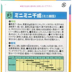 【ミニキュウリ】ミニミニ千成 【中原採種場F1...の詳細画像1
