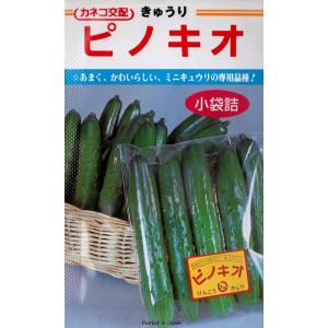 トウガン】長とうがん（カモウリ）【タキイ種苗】（22ml）野菜種[春