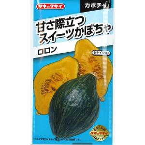 【カボチャ】ロロン【タキイ種苗】（7粒）野菜種[春まき]
