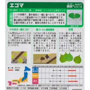エゴマ 【サカタのタネ】(7.5ml)野菜種/...の詳細画像1