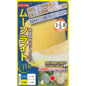 【メロン】ムーンライト【ナント交配】5粒春まき野菜種