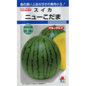 SK9-099 ブロッコリー種子 ペレット5000粒 【野菜種子】【サカタのタネ