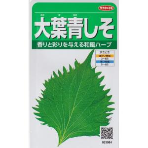 サカタのタネ（サカタノタネ） 【中国野菜】エンツァイ（エンサイ