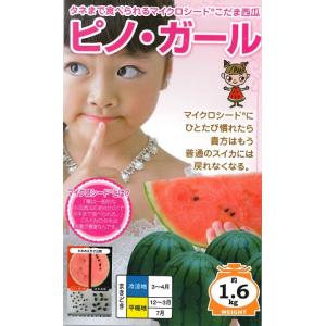 ピノ・ガール 5粒春まき野菜種