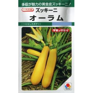 【ズッキーニ】オーラムEX【タキイ種苗】（10粒）野菜種[春まき]