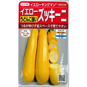 サカタのタネ（サカタノタネ） 【うどんこ病に強いエメラルド