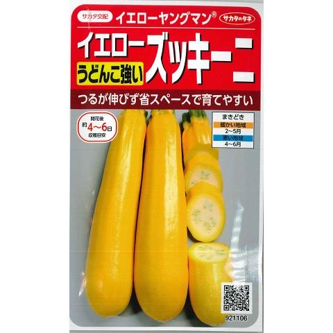 【うどんこ病に強いイエローズッキーニ】イエローヤングマン(4ml)野菜種/サカタのタネ