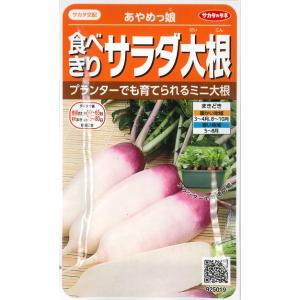 【食べきりサラダ大根】あやめっ娘【サカタの交配】（3ml）野菜種/サカタのタネ[春まき][秋まき] ...