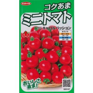 【こくあまミニトマト】キャロルパッション【サカタ交配】（12粒）野菜種[春まき]920107