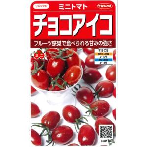 【ミニトマト】チョコアイコ【サカタ交配】 (13粒)春まき野菜種サカタのタネ920110