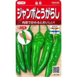 福耳（ふくみみ）（0.6ml）野菜種/サカタのタネ[春まき]921700