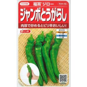 福耳ジロー野菜種/サカタのタネ921704