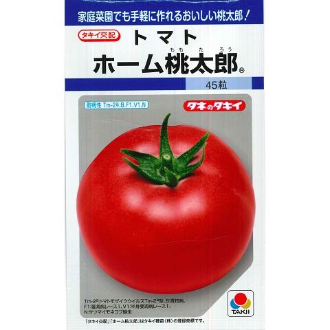 【トマト】ホーム桃太郎 【タキイ種苗】（45粒）野菜種[春まき]DF