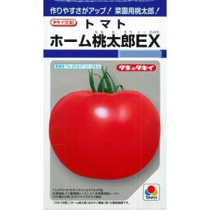 【トマト】ホーム桃太郎ＥＸ【タキイ種苗】（29粒）野菜種[春まき]DF