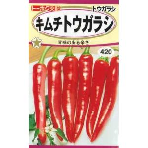 【トウガラシ】キムチトウガラシ【光輝】（1ml）【トーホク】野菜種[春まき]