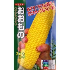おおもの（55粒）一代交配/野菜種/とうもろこしの種[春まき]