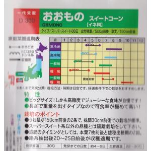 【スイートコーン】おおもの【ナント種苗】(55...の詳細画像1