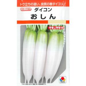 【ダイコン】おしん【タキイ種苗】（3.5ml）野菜種[春まき]RF