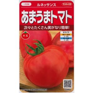 【あまうまトマト】ルネッサンス【サカタのタネ】（15粒）野菜種/一代交配 [春まき]920004