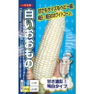 とうもろこし 白いおおもの 200粒 ナント種苗（株） : グリーンロフト