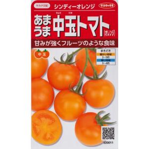 【あまうま中玉トマト（オレンジ）】シンディーオレンジ【サカタ交配】（13粒）野菜種[春まき]9200...