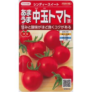 【あまうま中玉トマト（赤）】シンディースイート【サカタ交配】（21粒）野菜種[春まき]920010