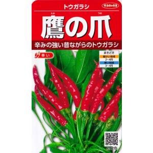 【トウガラシ】鷹の爪（タカノツメ）【サカタのタネ】（2ml）野菜種[春まき]921772