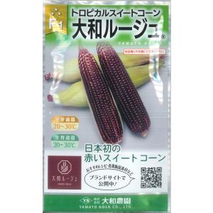 【トロピカルスイートコーン】大和ルージュ【大和農...の商品画像
