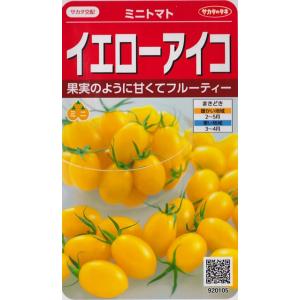 【ミニトマト】イエローアイコ【サカタ交配】（13粒）野菜種[春まき]920105