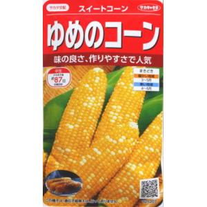 ホイップコーン スイートコーン種子 ホワイト種 200粒【スイート