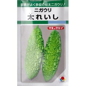 【ニガウリ（ゴーヤ）】太れいし【タキイ種苗】（12ml）野菜種[春まき]GF