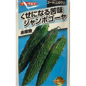 【ニガウリ】寿限無【タキイ種苗】（8ml/約15粒）ゴーヤ野菜種[春まき]AZU154