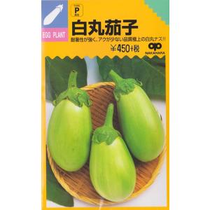 【丸ナス】白丸茄子【中原採種場】（約60粒）野菜種[春まき]