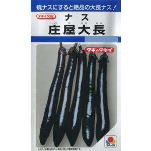 【ナス】庄屋大長【タキイ交配】（50粒）タキイ種苗/野菜種[春まき]