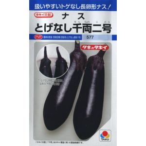 とげなし千両二号（35粒）野菜種[春まき]DF