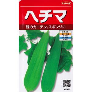 【ヘチマ】 【サカタのタネ】（8ml）野菜種[春まき]920975