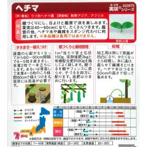 【ヘチマ】 【サカタのタネ】(8ml)野菜種[...の詳細画像1