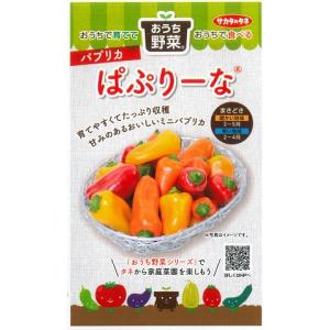 【パプリカ】ぱぷりーな【サカタ交配】(12粒)野菜種/サカタのタネ[春まき]921506