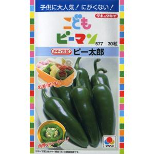 【こどもピーマン】ピー太郎【タキイ交配】（27粒）野菜種[春まき]DF