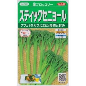 【茎ブロッコリー】スティックセニョール【サカタのタネ】（0.8ml）野菜種[春まき][秋まき]922...