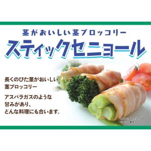 【茎ブロッコリー】スティックセニョール【サカタ...の詳細画像2